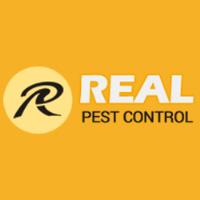 Real Cockroach Control Adelaide image 2